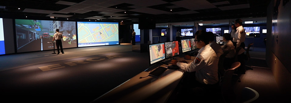 Disaster Management Simulators